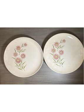 2 vintage Stetson China 10” dinner plates 1950s hand-painted floral design MCM